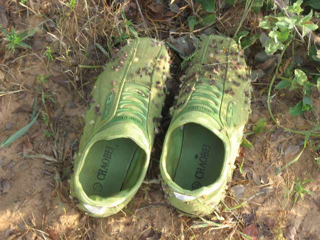 Shoes with cocklebur seeds