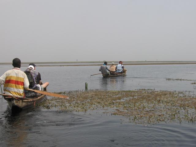 Hadejia-Nguru wetlands