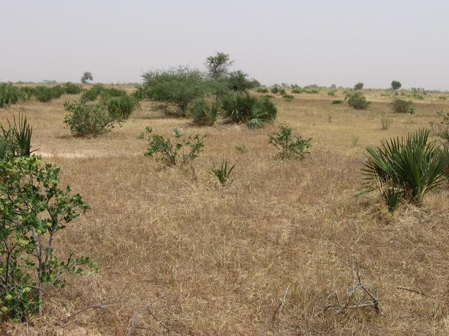 General view