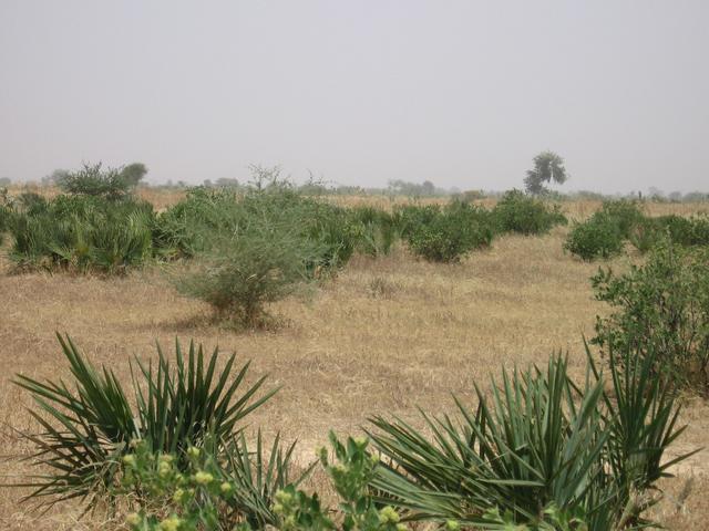 North