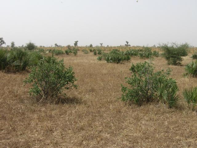 South