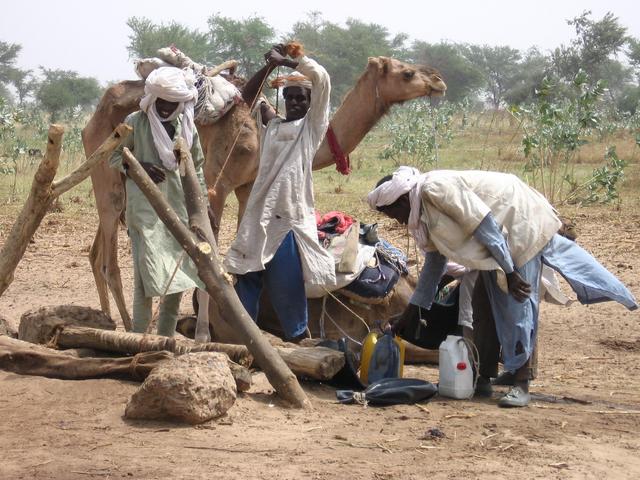 Pulling water
