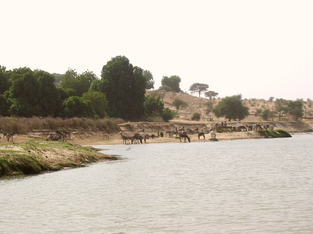 River crossing