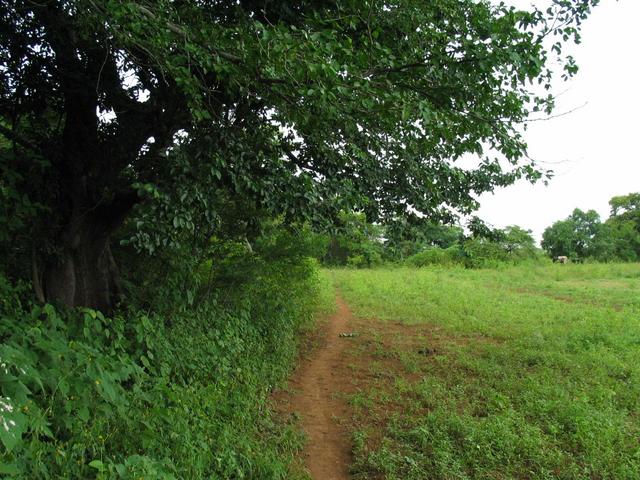 View east. Trail leads to dry riverbed.