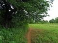 #5: View east. Trail leads to dry riverbed.