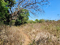 #4: View east along the path beside the field. 