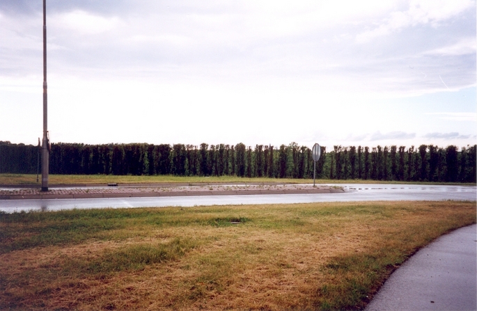 View towards W from the confluence