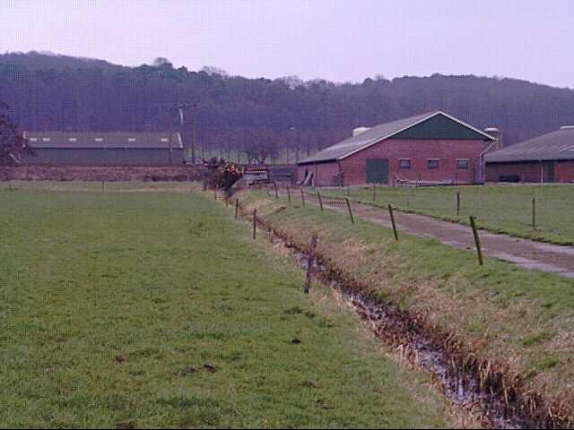 View on the northern farm
