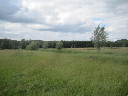 #1: Norden; view north