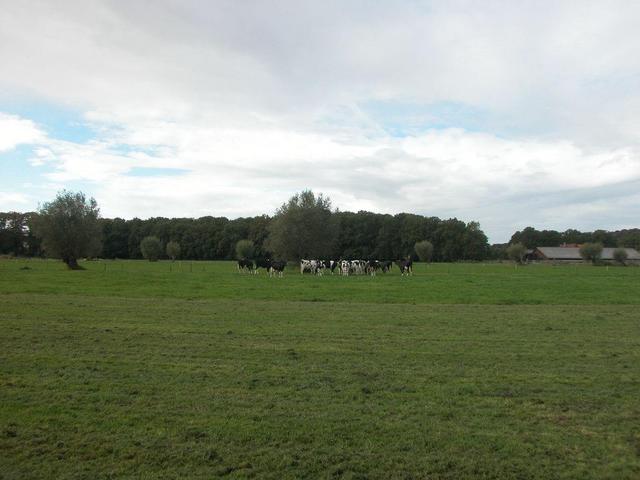 View in eastern direction / Blick in östliche Richtung