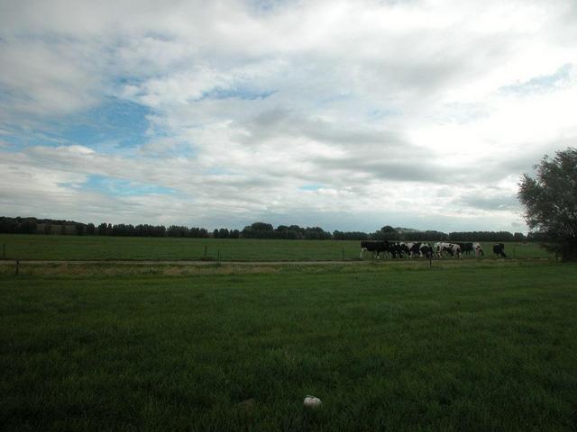 View in western direction / Blick in westliche Richtung