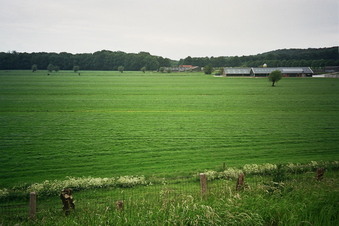 #1: General view of the confluence (from the road N785, ca. 300 m away, towards W, with farms no. 1 and 2)