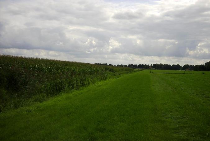 Blick nach Süden - View south