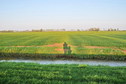 #4: View south / Blick nach Süden