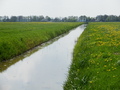 #9: Nearby Water Channel