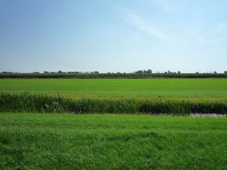 View East