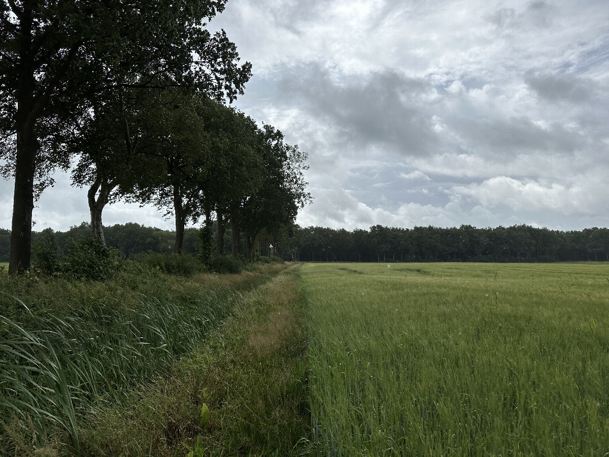View to the South