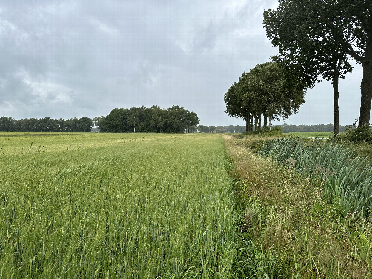 View to the North