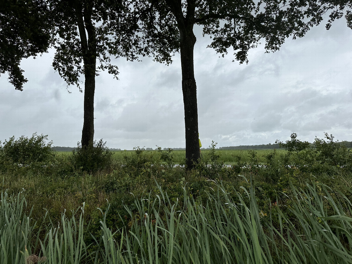 View to the East