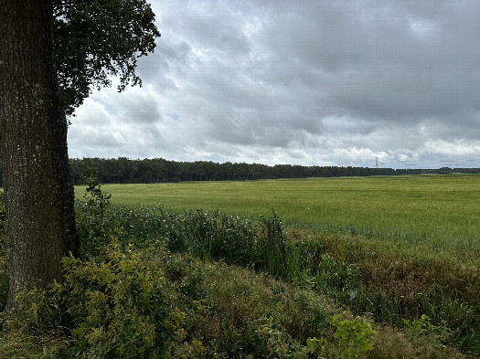 #1: The Confluence from 100m Distance