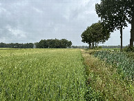 #4: View to the North