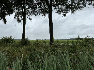 #5: View to the East