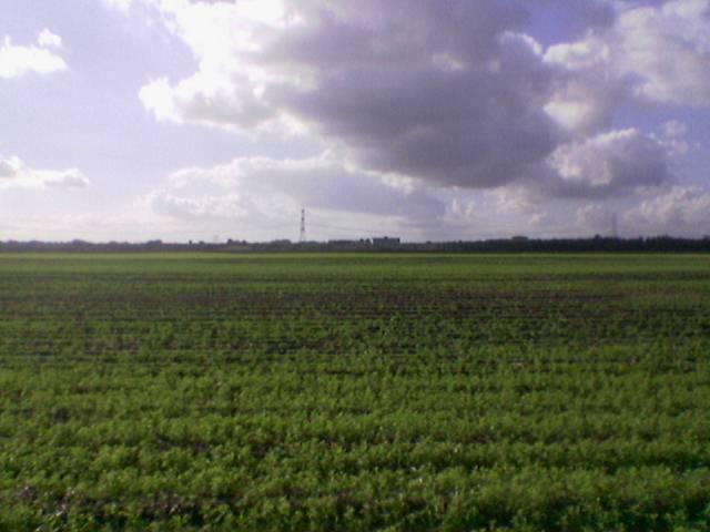 The confluence point from a small distance