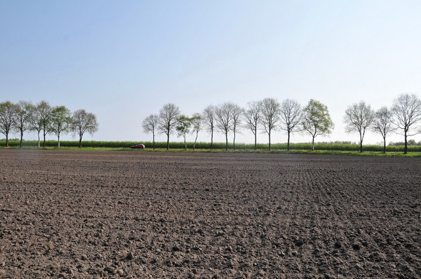 View west / Blick nach Westen