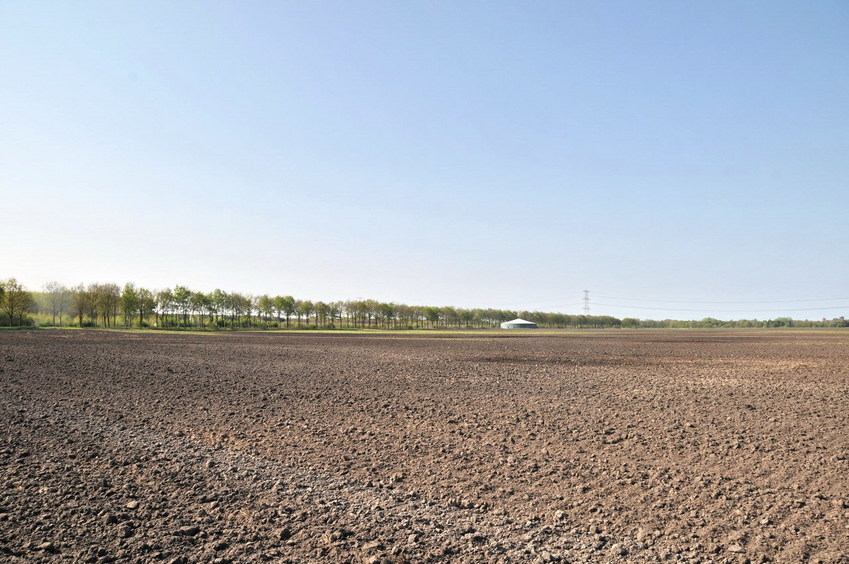 View east / Blick nach Osten