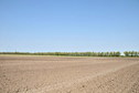 #4: View south / Blick nach Süden