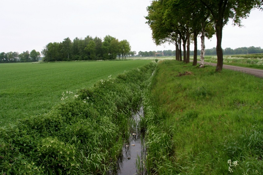 Drainage channel along the field