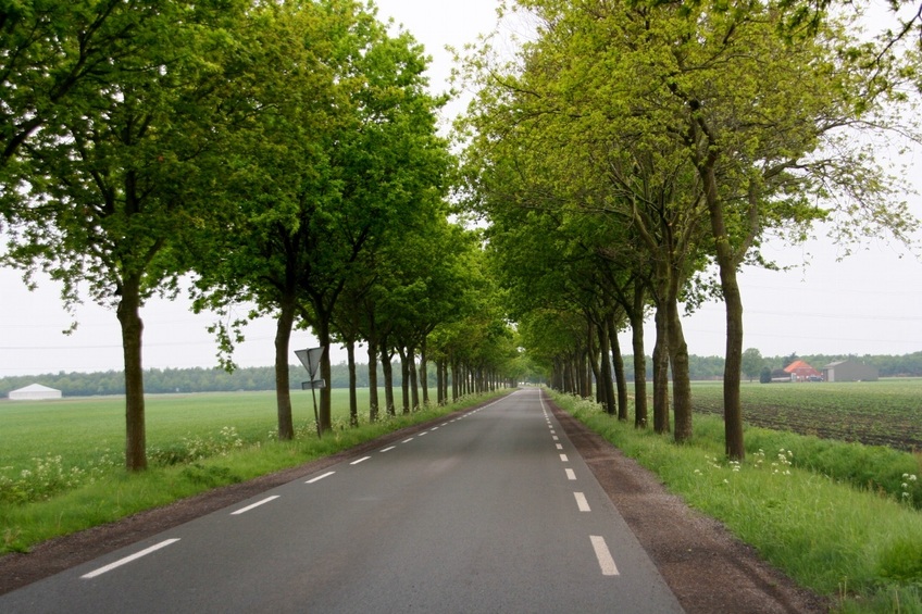 Typical Dutch road in this area