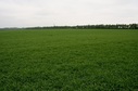 #4: View to the West