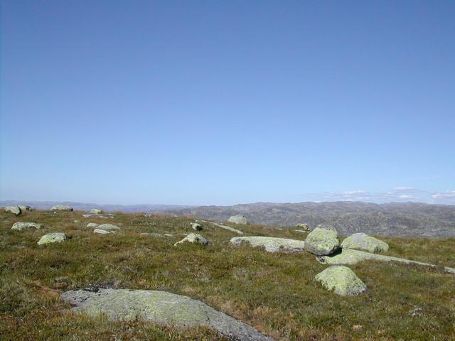 Looking east from the confluence