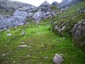 #7: Verdigris green moss on the ascent up towards the cp