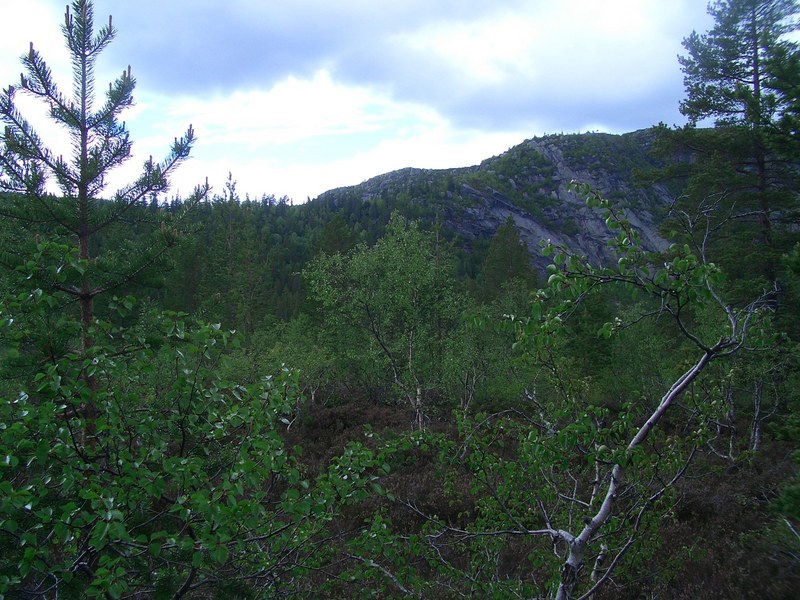 View West