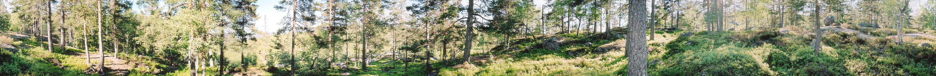 Panorama of the confluence