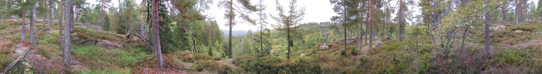 Panorama from the confluence