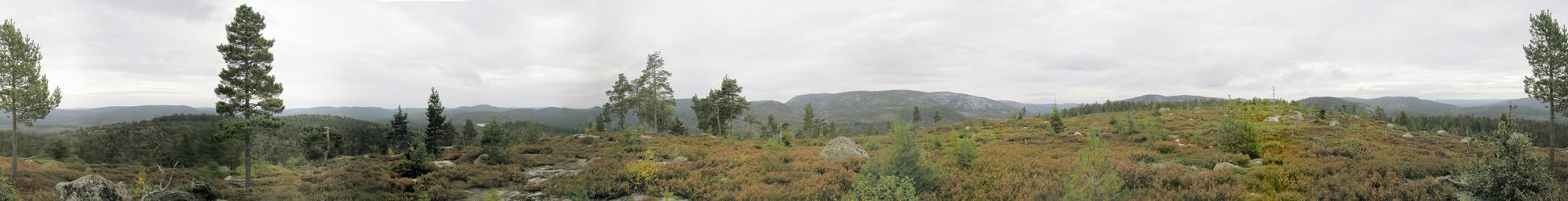 View from nearby hill