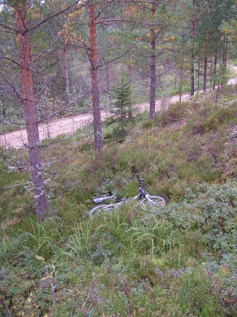 Leaving the bike in the bracken