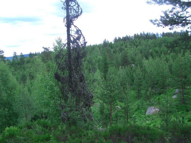 View to the East