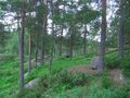#3: View to the South