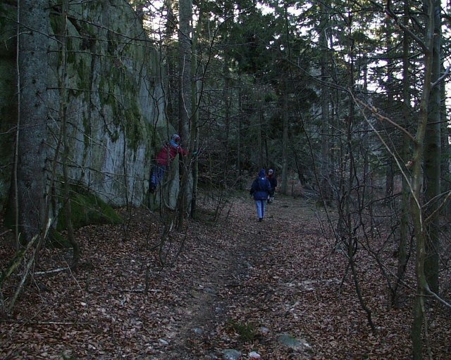 Narrow paths leading to the clifftop