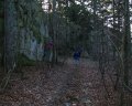 #4: Narrow paths leading to the clifftop