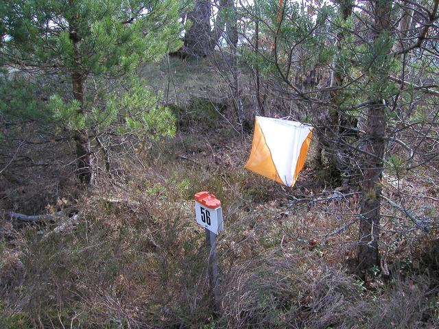 Orienteering control flag at the confluence