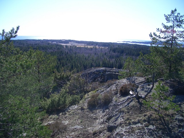 View to the South. In the background is the sea.