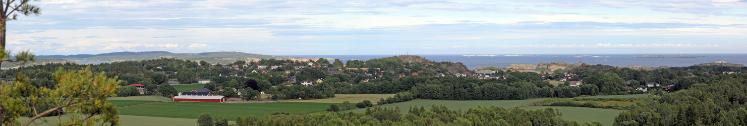 East panorama view