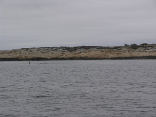 #1: The underwater rock NE of the point