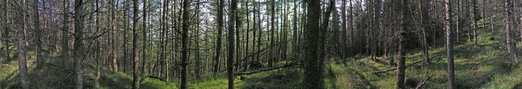#1: 360 pano from the point