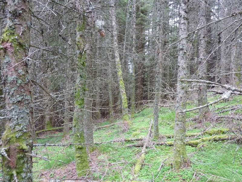 View West